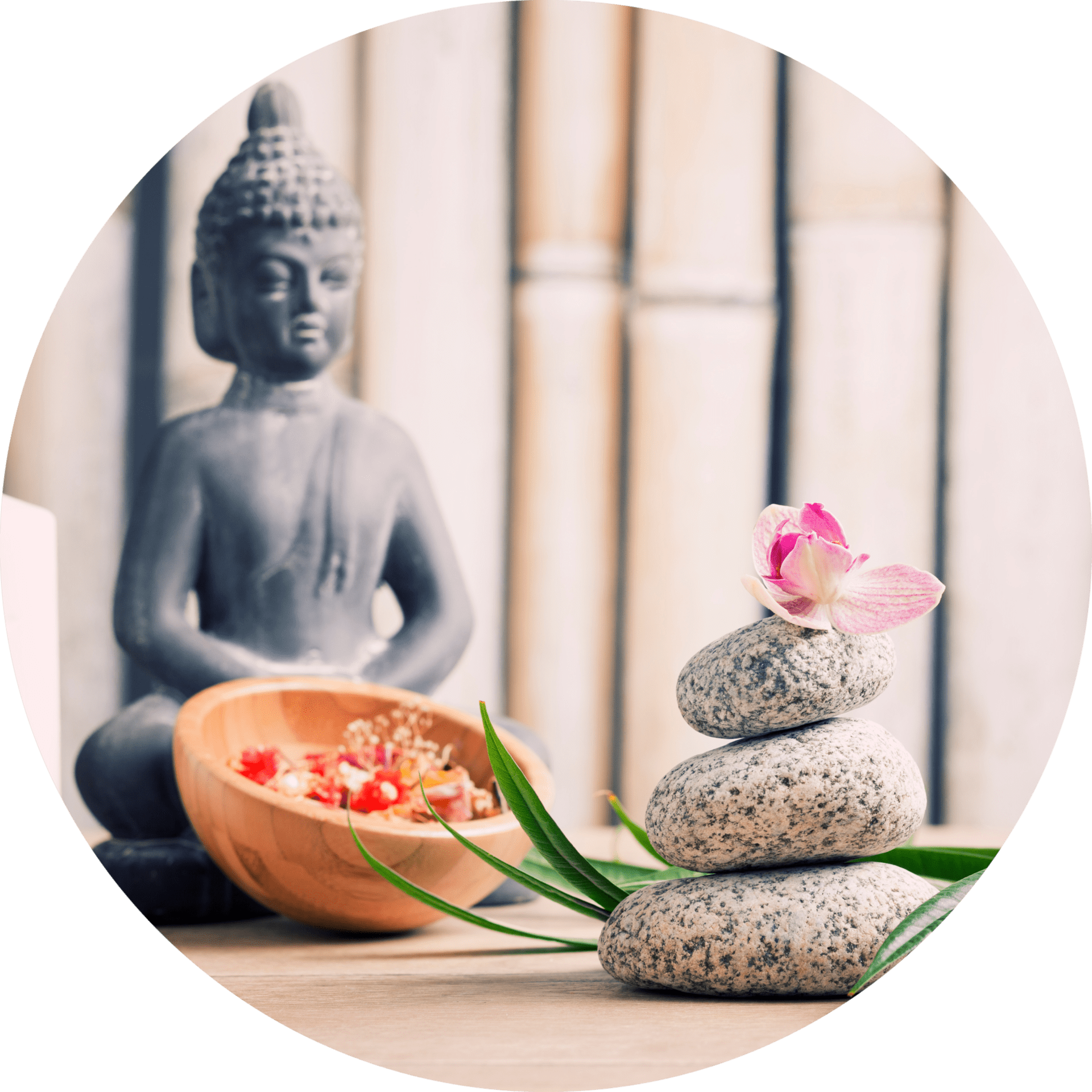 wellness